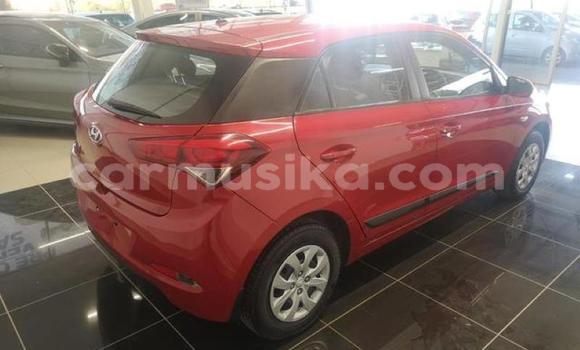 Buy Used Hyundai i20 Red Car in Beitbridge in Matabeleland South Buy Used Hyundai i20 Red Car in Beitbridge in Matabeleland South