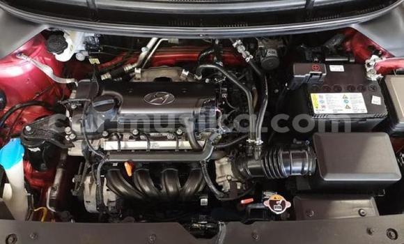 Buy Used Hyundai i20 Red Car in Beitbridge in Matabeleland South Buy Used Hyundai i20 Red Car in Beitbridge in Matabeleland South