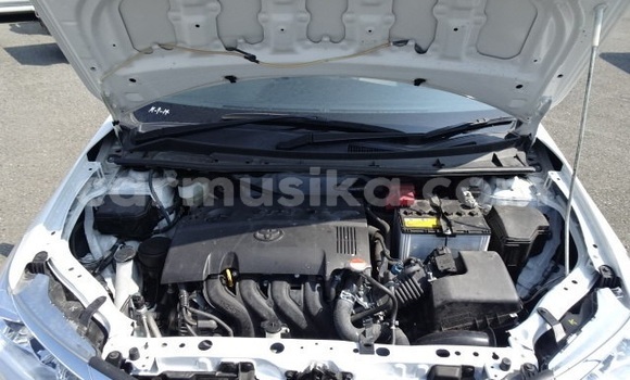 Buy Import Toyota Axio White Car in Harare in Harare Buy Import Toyota Axio White Car in Harare in Harare