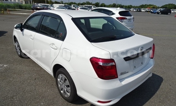 Buy Import Toyota Axio White Car in Harare in Harare Buy Import Toyota Axio White Car in Harare in Harare