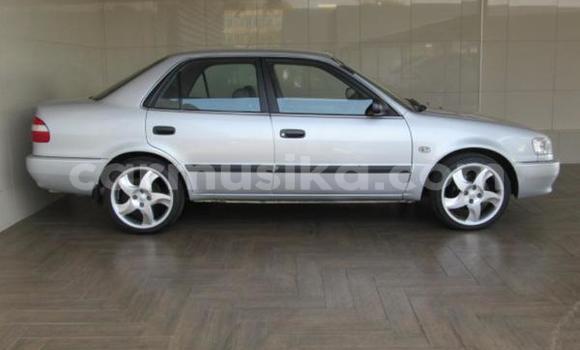 Buy Used Toyota Corolla Silver Car in Beitbridge in Matabeleland South Buy Used Toyota Corolla Silver Car in Beitbridge in Matabeleland South