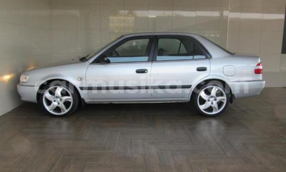 Buy Used Toyota Corolla Silver Car in Beitbridge in Matabeleland South Buy Used Toyota Corolla Silver Car in Beitbridge in Matabeleland South