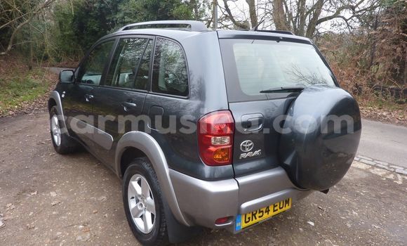Tenga Tsaru Toyota RAV4 Beige Mota in Harare in Harare Tenga Tsaru Toyota RAV4 Beige Mota in Harare in Harare