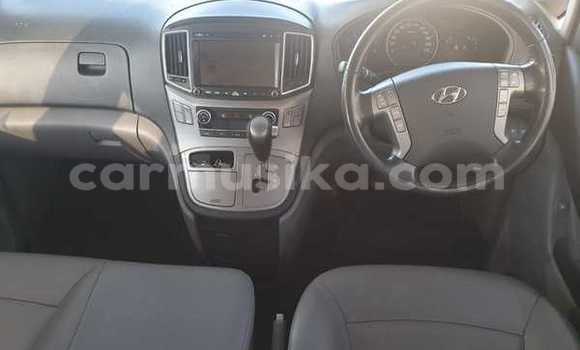 Buy Used Hyundai H1 White Car in Beitbridge in Matabeleland South Buy Used Hyundai H1 White Car in Beitbridge in Matabeleland South