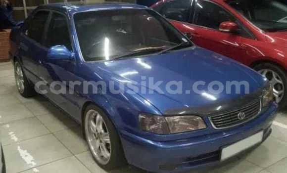 Tenga Tsaru Toyota Corolla Bhuruu Mota in Beitbridge in Matabeleland South Tenga Tsaru Toyota Corolla Bhuruu Mota in Beitbridge in Matabeleland South