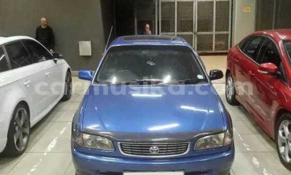 Tenga Tsaru Toyota Corolla Bhuruu Mota in Beitbridge in Matabeleland South Tenga Tsaru Toyota Corolla Bhuruu Mota in Beitbridge in Matabeleland South