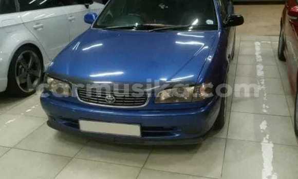 Tenga Tsaru Toyota Corolla Bhuruu Mota in Beitbridge in Matabeleland South Tenga Tsaru Toyota Corolla Bhuruu Mota in Beitbridge in Matabeleland South