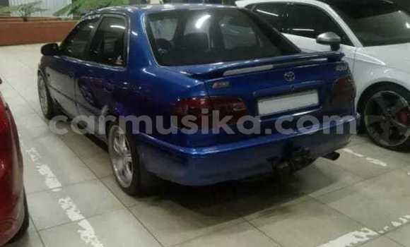 Tenga Tsaru Toyota Corolla Bhuruu Mota in Beitbridge in Matabeleland South Tenga Tsaru Toyota Corolla Bhuruu Mota in Beitbridge in Matabeleland South