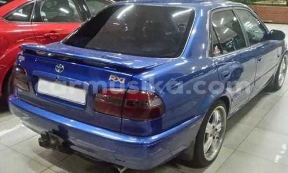 Tenga Tsaru Toyota Corolla Bhuruu Mota in Beitbridge in Matabeleland South Tenga Tsaru Toyota Corolla Bhuruu Mota in Beitbridge in Matabeleland South