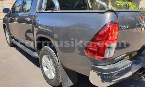 Acheter Occasion Voiture Toyota Hilux Beige à Beitbridge, Matabeleland South Acheter Occasion Voiture Toyota Hilux Beige à Beitbridge, Matabeleland South