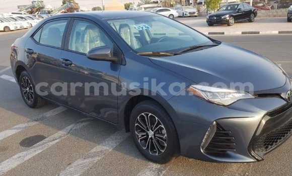 Tenga Imported Toyota Corolla Zvimwe Mota in Import - Dubai in Harare Tenga Imported Toyota Corolla Zvimwe Mota in Import - Dubai in Harare