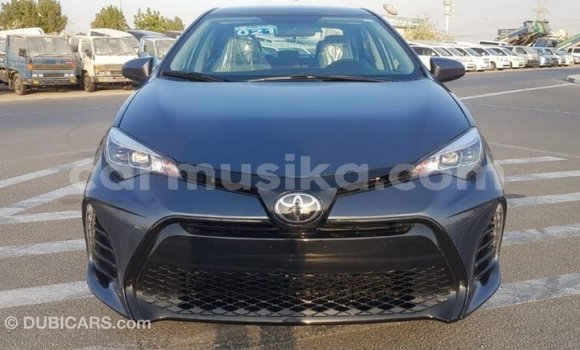 Tenga Imported Toyota Corolla Zvimwe Mota in Import - Dubai in Harare Tenga Imported Toyota Corolla Zvimwe Mota in Import - Dubai in Harare