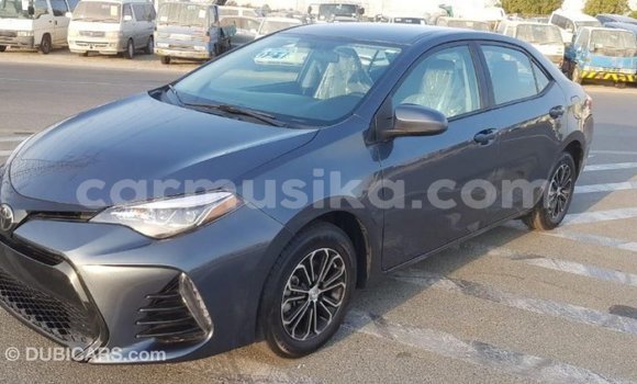 Tenga Imported Toyota Corolla Zvimwe Mota in Import - Dubai in Harare Tenga Imported Toyota Corolla Zvimwe Mota in Import - Dubai in Harare
