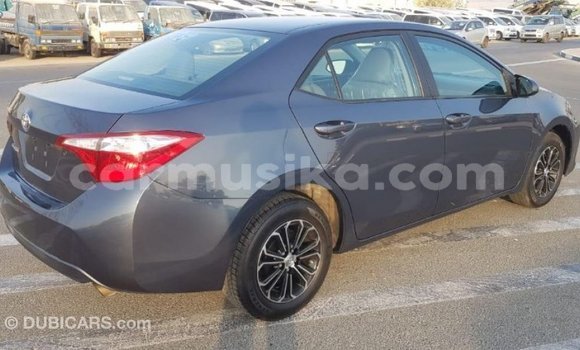 Tenga Imported Toyota Corolla Zvimwe Mota in Import - Dubai in Harare Tenga Imported Toyota Corolla Zvimwe Mota in Import - Dubai in Harare