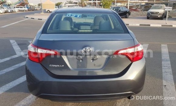 Tenga Imported Toyota Corolla Zvimwe Mota in Import - Dubai in Harare Tenga Imported Toyota Corolla Zvimwe Mota in Import - Dubai in Harare