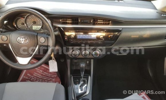 Tenga Imported Toyota Corolla Zvimwe Mota in Import - Dubai in Harare Tenga Imported Toyota Corolla Zvimwe Mota in Import - Dubai in Harare