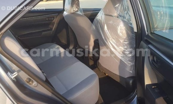Tenga Imported Toyota Corolla Zvimwe Mota in Import - Dubai in Harare Tenga Imported Toyota Corolla Zvimwe Mota in Import - Dubai in Harare