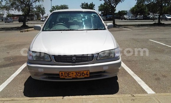 Tenga Tsaru Toyota Corolla Sirivha Mota in Harare in Harare Tenga Tsaru Toyota Corolla Sirivha Mota in Harare in Harare