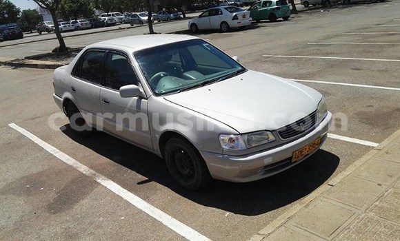 Tenga Tsaru Toyota Corolla Sirivha Mota in Harare in Harare Tenga Tsaru Toyota Corolla Sirivha Mota in Harare in Harare
