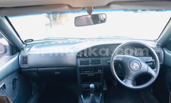 Buy Used Toyota Corolla Other Car in Beitbridge in Matabeleland South Buy Used Toyota Corolla Other Car in Beitbridge in Matabeleland South
