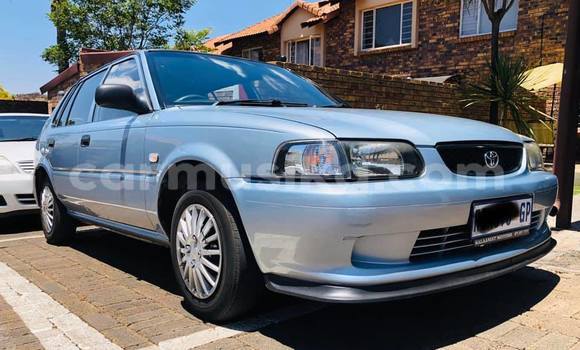 Buy Used Toyota Corolla Other Car in Beitbridge in Matabeleland South Buy Used Toyota Corolla Other Car in Beitbridge in Matabeleland South