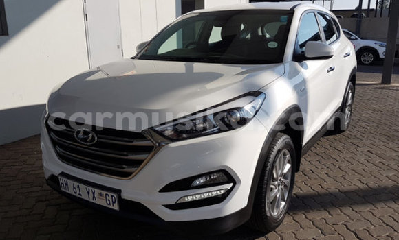 Tenga Tsaru Hyundai Tucson Chena Mota in Beitbridge in Matabeleland South Tenga Tsaru Hyundai Tucson Chena Mota in Beitbridge in Matabeleland South