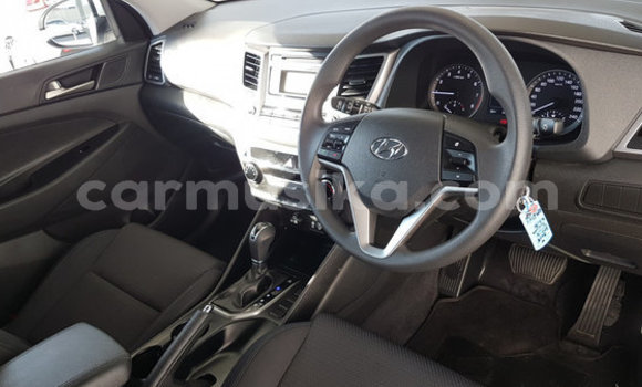 Tenga Tsaru Hyundai Tucson Chena Mota in Beitbridge in Matabeleland South Tenga Tsaru Hyundai Tucson Chena Mota in Beitbridge in Matabeleland South