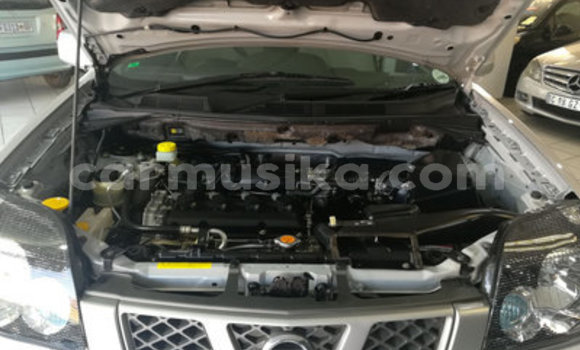 Acheter Occasion Voiture Nissan X–Trail Gris à Bulawayo, Bulawayo Acheter Occasion Voiture Nissan X–Trail Gris à Bulawayo, Bulawayo