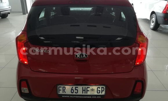 Nunua Ilio tumika Kia Picanto Nyekundu Gari ndani ya Beitbridge nchini Matabeleland Kusini Nunua Ilio tumika Kia Picanto Nyekundu Gari ndani ya Beitbridge nchini Matabeleland Kusini