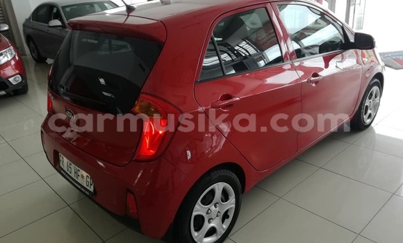 Nunua Ilio tumika Kia Picanto Nyekundu Gari ndani ya Beitbridge nchini Matabeleland Kusini Nunua Ilio tumika Kia Picanto Nyekundu Gari ndani ya Beitbridge nchini Matabeleland Kusini