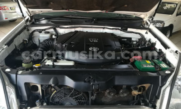 Tenga Tsaru Toyota Land Cruiser Prado Chena Mota in Bulawayo in Bulawayo Tenga Tsaru Toyota Land Cruiser Prado Chena Mota in Bulawayo in Bulawayo