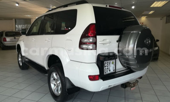 Tenga Tsaru Toyota Land Cruiser Prado Chena Mota in Bulawayo in Bulawayo Tenga Tsaru Toyota Land Cruiser Prado Chena Mota in Bulawayo in Bulawayo