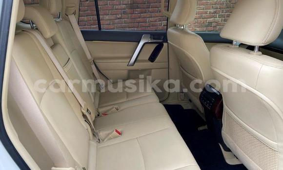 Acheter Occasion Voiture Toyota Land Cruiser Prado Blanc à Bulawayo, Bulawayo Acheter Occasion Voiture Toyota Land Cruiser Prado Blanc à Bulawayo, Bulawayo