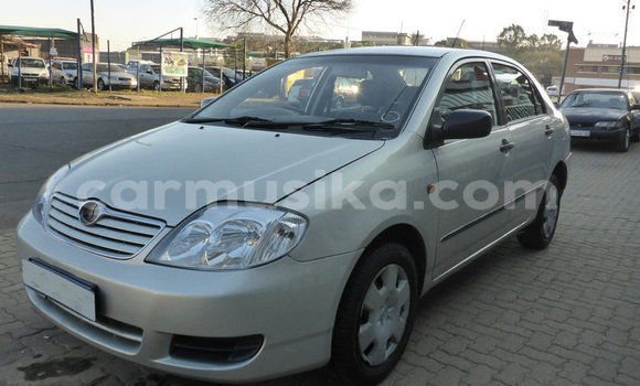 Buy Used Toyota Corolla Other Car in Beitbridge in Matabeleland South Buy Used Toyota Corolla Other Car in Beitbridge in Matabeleland South