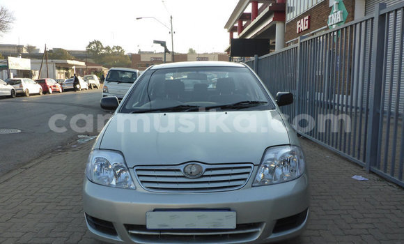 Buy Used Toyota Corolla Other Car in Beitbridge in Matabeleland South Buy Used Toyota Corolla Other Car in Beitbridge in Matabeleland South