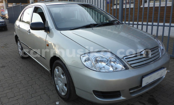 Buy Used Toyota Corolla Other Car in Beitbridge in Matabeleland South Buy Used Toyota Corolla Other Car in Beitbridge in Matabeleland South