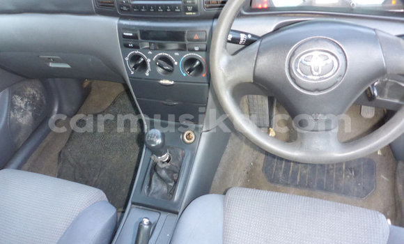 Buy Used Toyota Corolla Other Car in Beitbridge in Matabeleland South Buy Used Toyota Corolla Other Car in Beitbridge in Matabeleland South