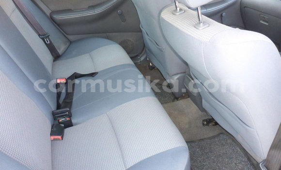 Buy Used Toyota Corolla Other Car in Beitbridge in Matabeleland South Buy Used Toyota Corolla Other Car in Beitbridge in Matabeleland South