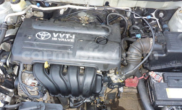 Buy Used Toyota Corolla Other Car in Beitbridge in Matabeleland South Buy Used Toyota Corolla Other Car in Beitbridge in Matabeleland South