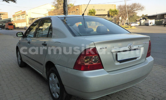 Buy Used Toyota Corolla Other Car in Beitbridge in Matabeleland South Buy Used Toyota Corolla Other Car in Beitbridge in Matabeleland South