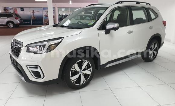 Buy Used Subaru Forester Other Car in Beitbridge in Matabeleland South Buy Used Subaru Forester Other Car in Beitbridge in Matabeleland South
