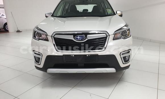 Buy Used Subaru Forester Other Car in Beitbridge in Matabeleland South Buy Used Subaru Forester Other Car in Beitbridge in Matabeleland South