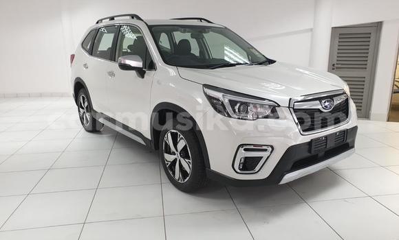 Buy Used Subaru Forester Other Car in Beitbridge in Matabeleland South Buy Used Subaru Forester Other Car in Beitbridge in Matabeleland South