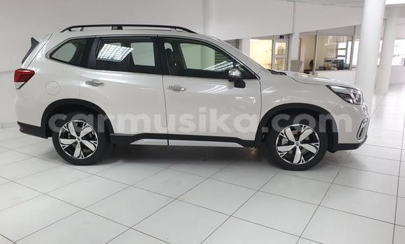 Buy Used Subaru Forester Other Car in Beitbridge in Matabeleland South Buy Used Subaru Forester Other Car in Beitbridge in Matabeleland South