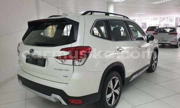 Buy Used Subaru Forester Other Car in Beitbridge in Matabeleland South Buy Used Subaru Forester Other Car in Beitbridge in Matabeleland South