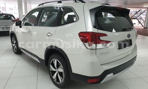 Buy Used Subaru Forester Other Car in Beitbridge in Matabeleland South Buy Used Subaru Forester Other Car in Beitbridge in Matabeleland South