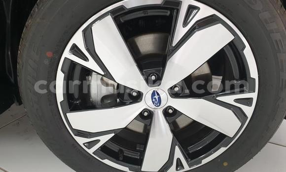 Buy Used Subaru Forester Other Car in Beitbridge in Matabeleland South Buy Used Subaru Forester Other Car in Beitbridge in Matabeleland South