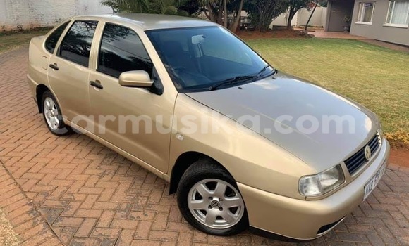 Tenga Tsaru Volkswagen Polo Zvimwe Mota in Beitbridge in Matabeleland South Tenga Tsaru Volkswagen Polo Zvimwe Mota in Beitbridge in Matabeleland South