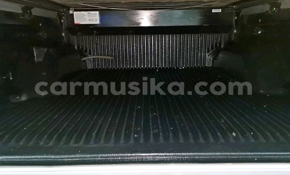 Tenga Tsaru Ford Ranger Sirivha Mota in Beitbridge in Matabeleland South Tenga Tsaru Ford Ranger Sirivha Mota in Beitbridge in Matabeleland South