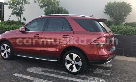 Acheter Occasion Voiture Mercedes‒Benz AMG GLC Rouge à Bulawayo, Bulawayo Acheter Occasion Voiture Mercedes‒Benz AMG GLC Rouge à Bulawayo, Bulawayo